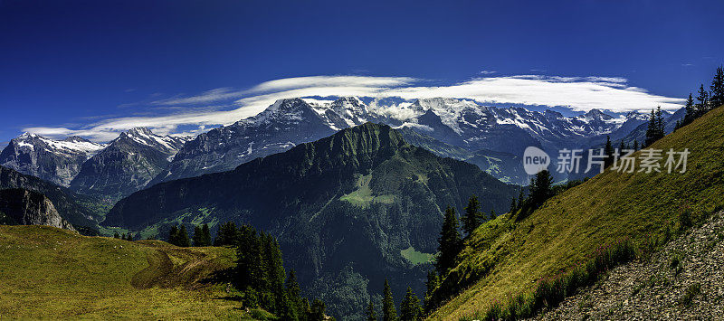 伯尔尼阿尔卑斯山全景从西尼格普拉特 - VI